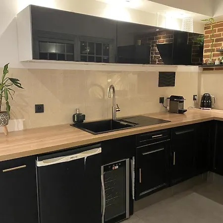 Apartment Maison Lyon-bron Eurexpo - Stadium Groupama Bron