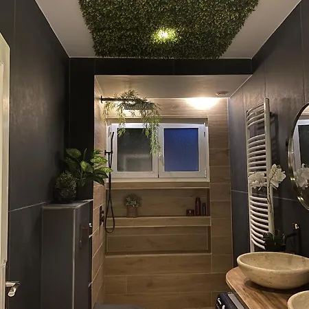 Apartamento Maison Lyon-bron Eurexpo - Stadium Groupama